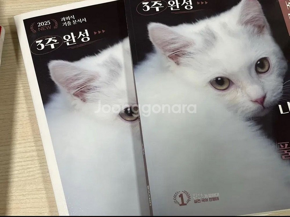 제시o) 전형태T 나기출 고난도 문학--0