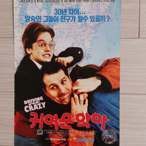 영화전단지 피터페이만감독 에드오닐 귀여운악마(1992)