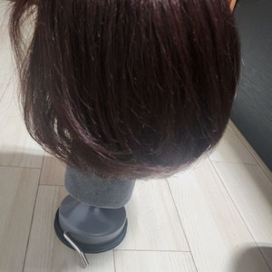 인모 통가발