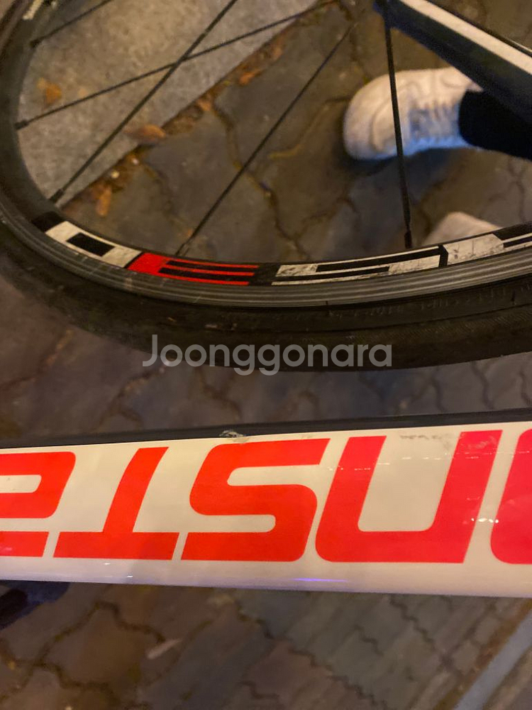 콘스탄틴 디스페랄 2024--1
