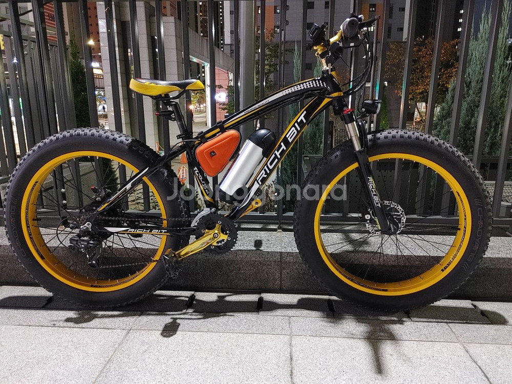 rich bit 012 전기팻바이크--2