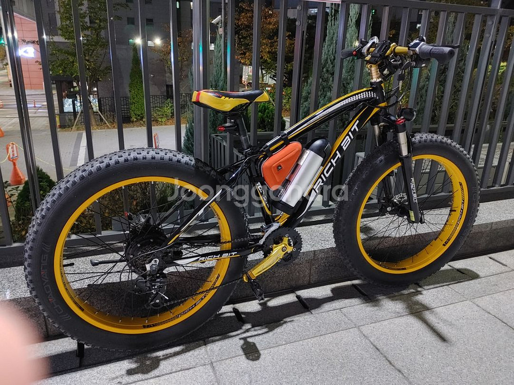 rich bit 012 전기팻바이크--3