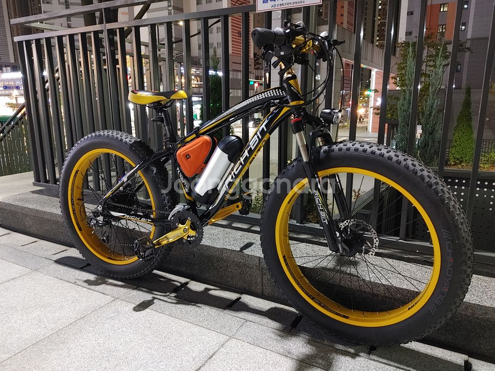 rich bit 012 전기팻바이크--1