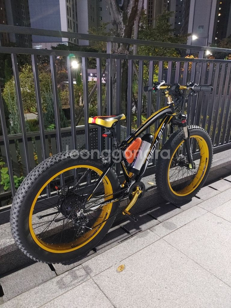 rich bit 012 전기팻바이크--4