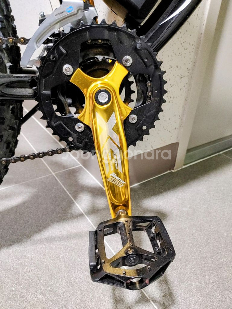 rich bit 012 전기팻바이크--5