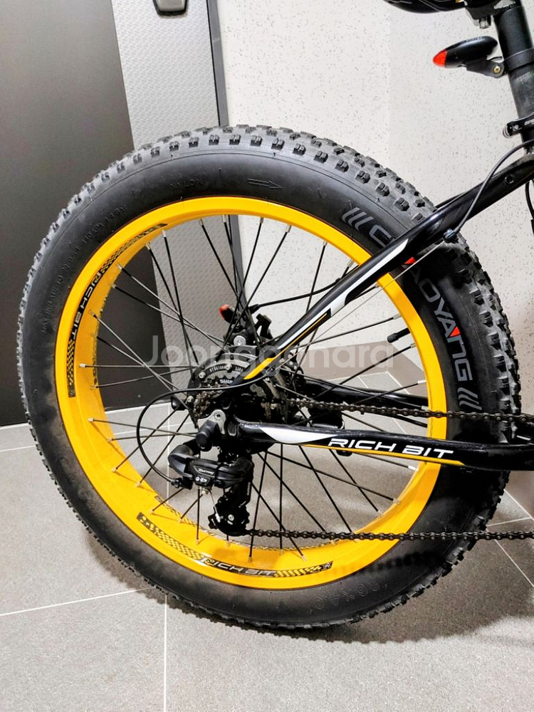 rich bit 012 전기팻바이크--6