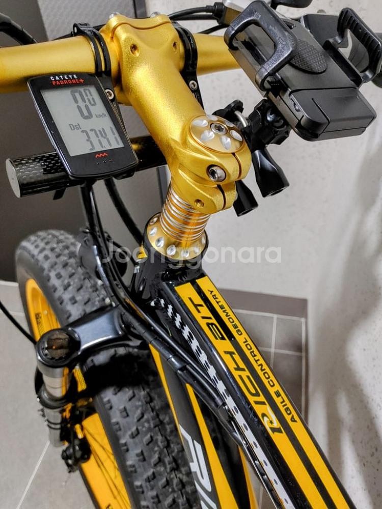 rich bit 012 전기팻바이크--8