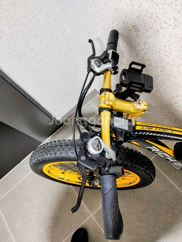 rich bit 012 전기팻바이크--9