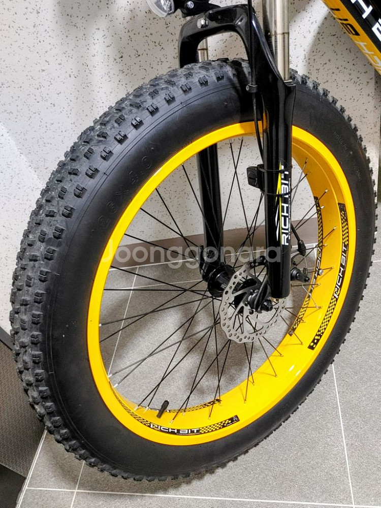 rich bit 012 전기팻바이크--7