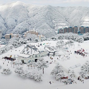 비발디파크