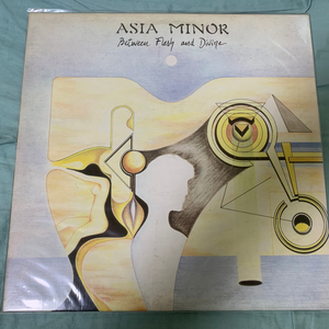 시완 Asia minor - Between.. lp