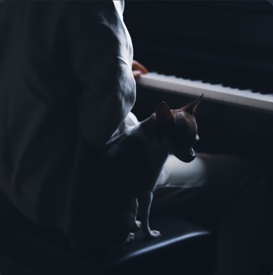 profile-image