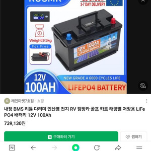 12V 100Ah LifePO4 배터리 + 충전기 세트