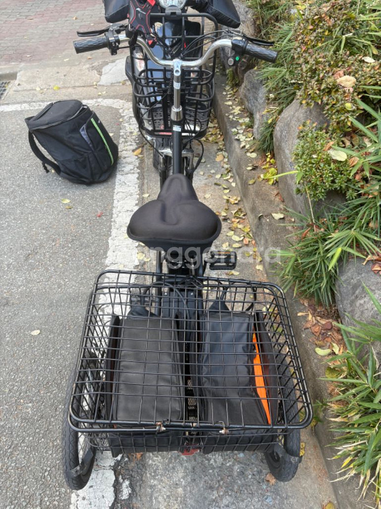 T3 삼륜전기자전거--1