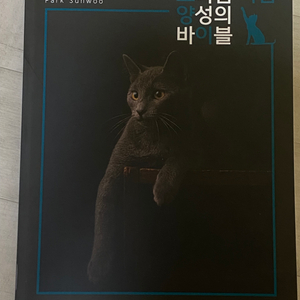 박선우 고양이 다짐 2025