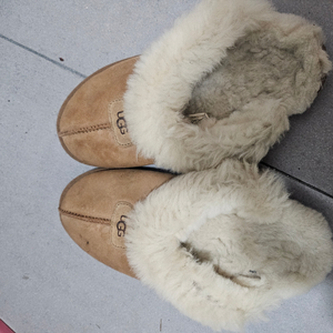 ugg 정품 슬리퍼 240