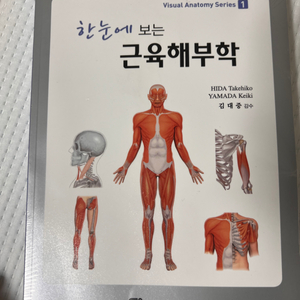 한 눈에 보는 근육해부학