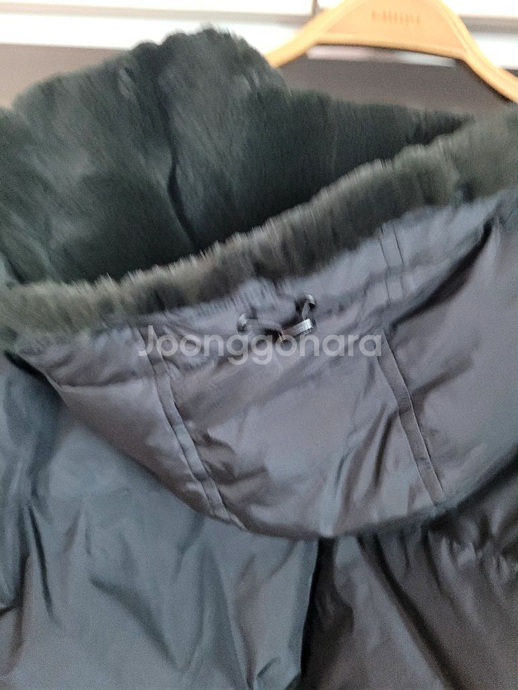 렉스퍼 후디 숏패딩--3