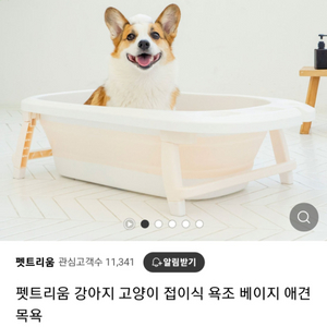 반려동물 욕조