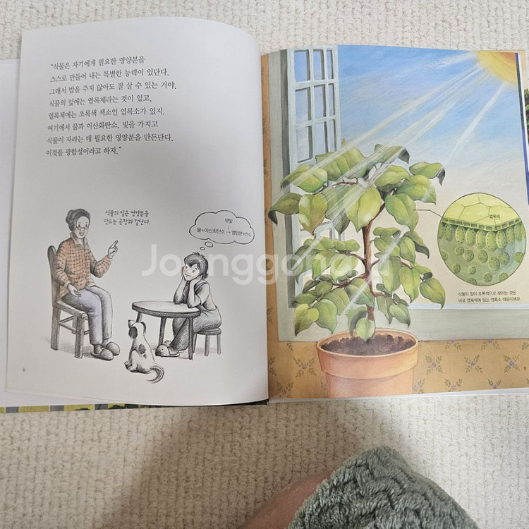 그레이트북스 스마트 원리과학--3