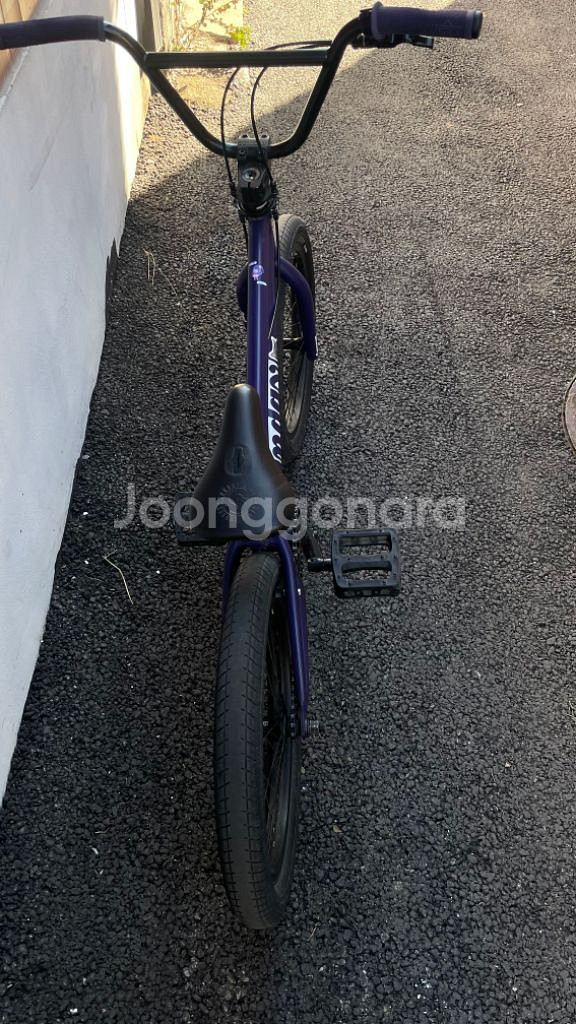 선데이 bmx 포어케스터--2