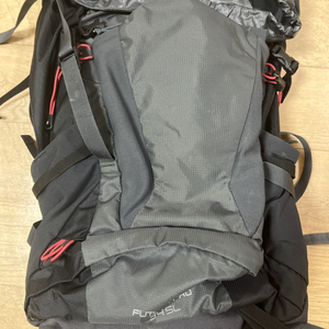 Deuter Futura Pro 34 SL 백팩