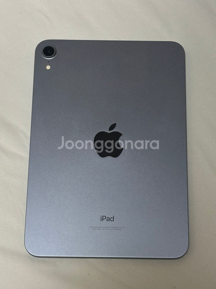 아이패드 미니 6 64GB 퍼플--12