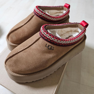 미국어그 UGG 타즈 240 새상품