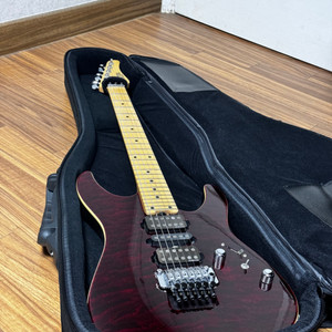 쉑터 Schecter NV3-24 13년식 팝니다.