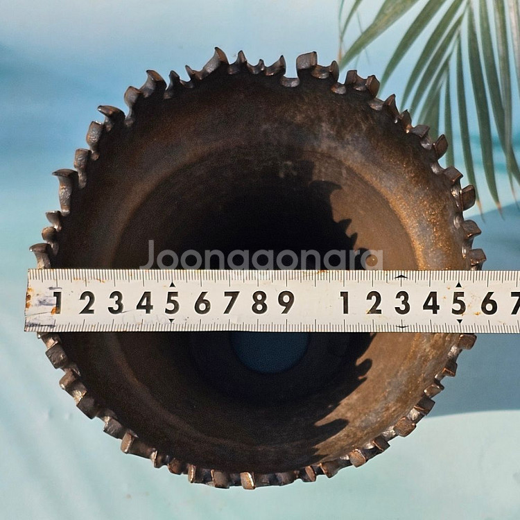 코덱스팟 중(아프리카식물 그락 괴근식물 선인장 화분)--4