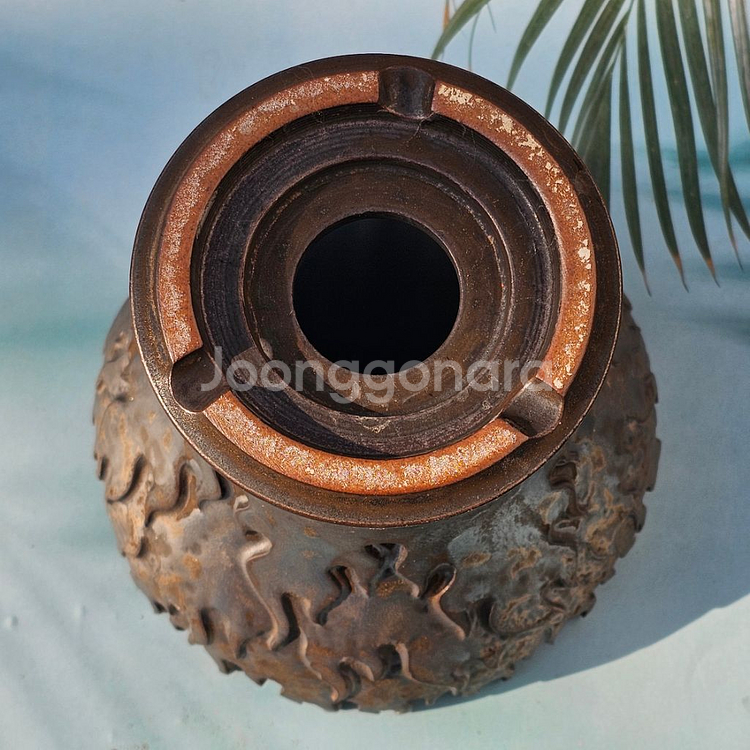 코덱스팟 중(아프리카식물 그락 괴근식물 선인장 화분)--2