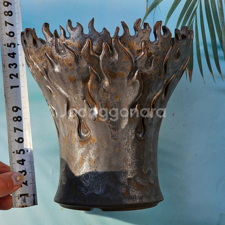 코덱스팟 중(아프리카식물 그락 괴근식물 선인장 화분)--3