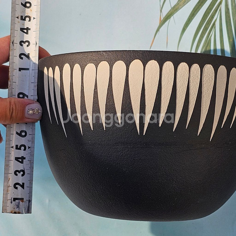 코덱스팟 대(아프리카식물 그락 괴근식물 선인장 화분)--3