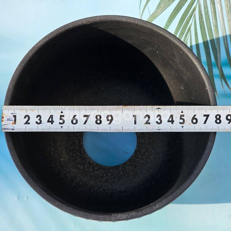 코덱스팟 대(아프리카식물 그락 괴근식물 선인장 화분)--4