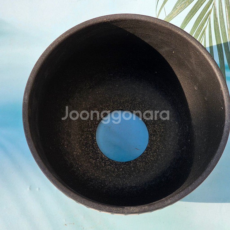 코덱스팟 대(아프리카식물 그락 괴근식물 선인장 화분)--1