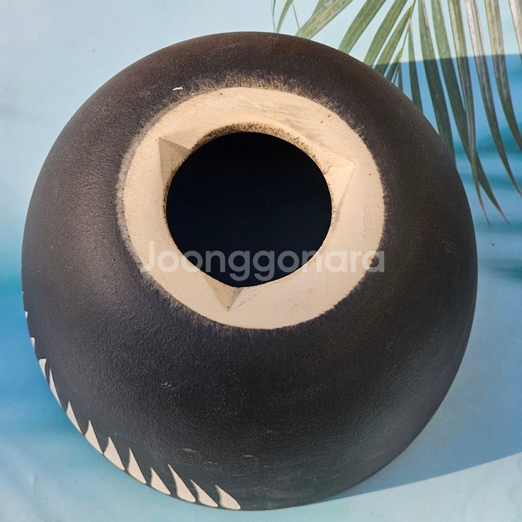 코덱스팟 대(아프리카식물 그락 괴근식물 선인장 화분)--2