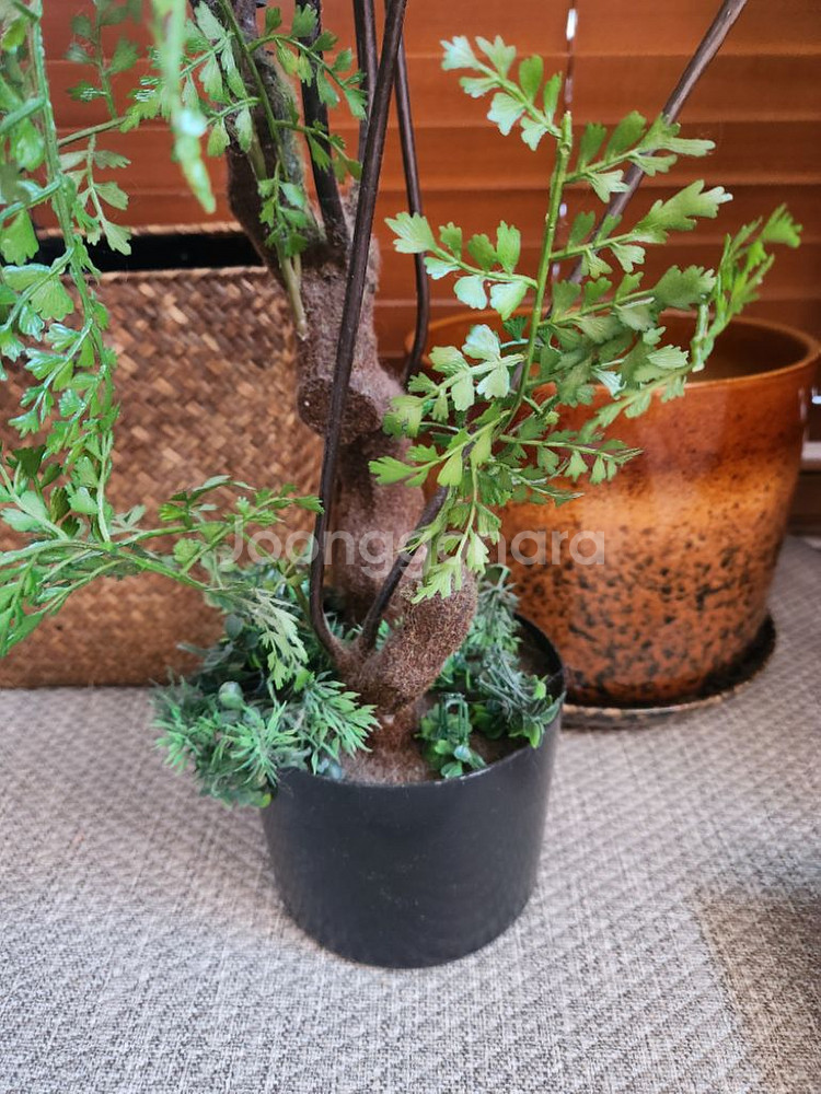 이쁜조화 조화식물--1