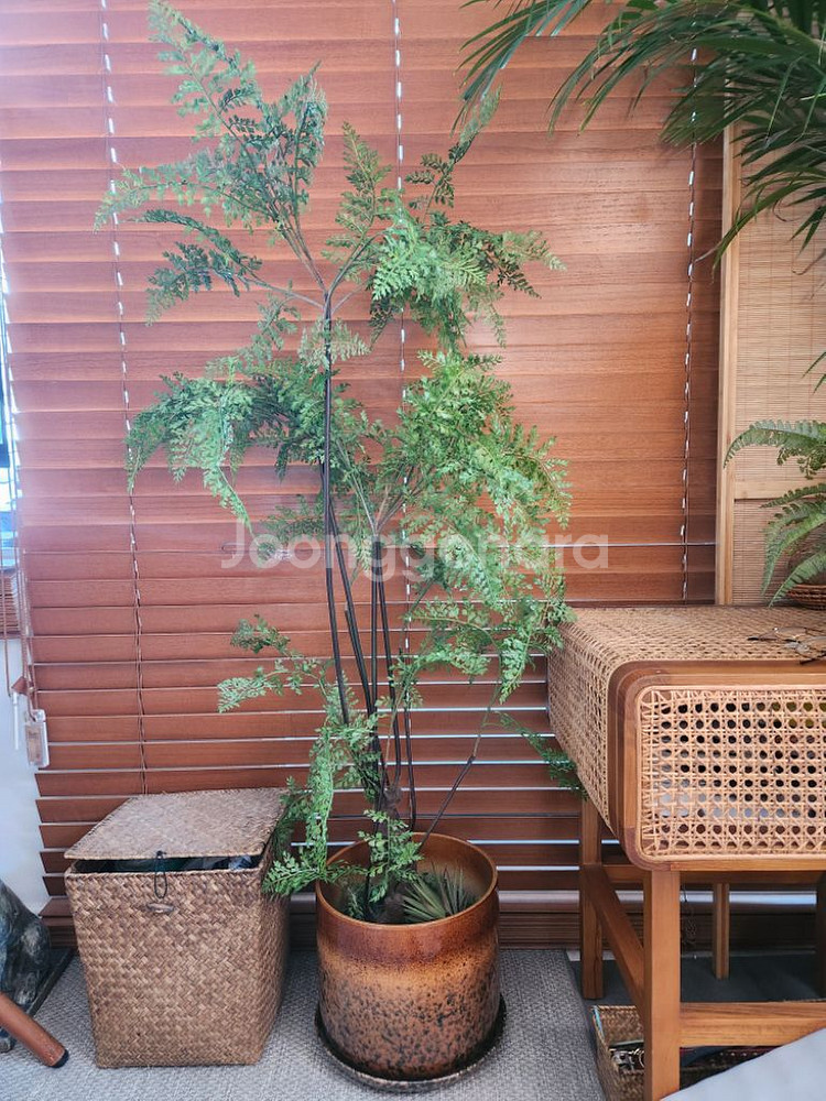 이쁜조화 조화식물--3