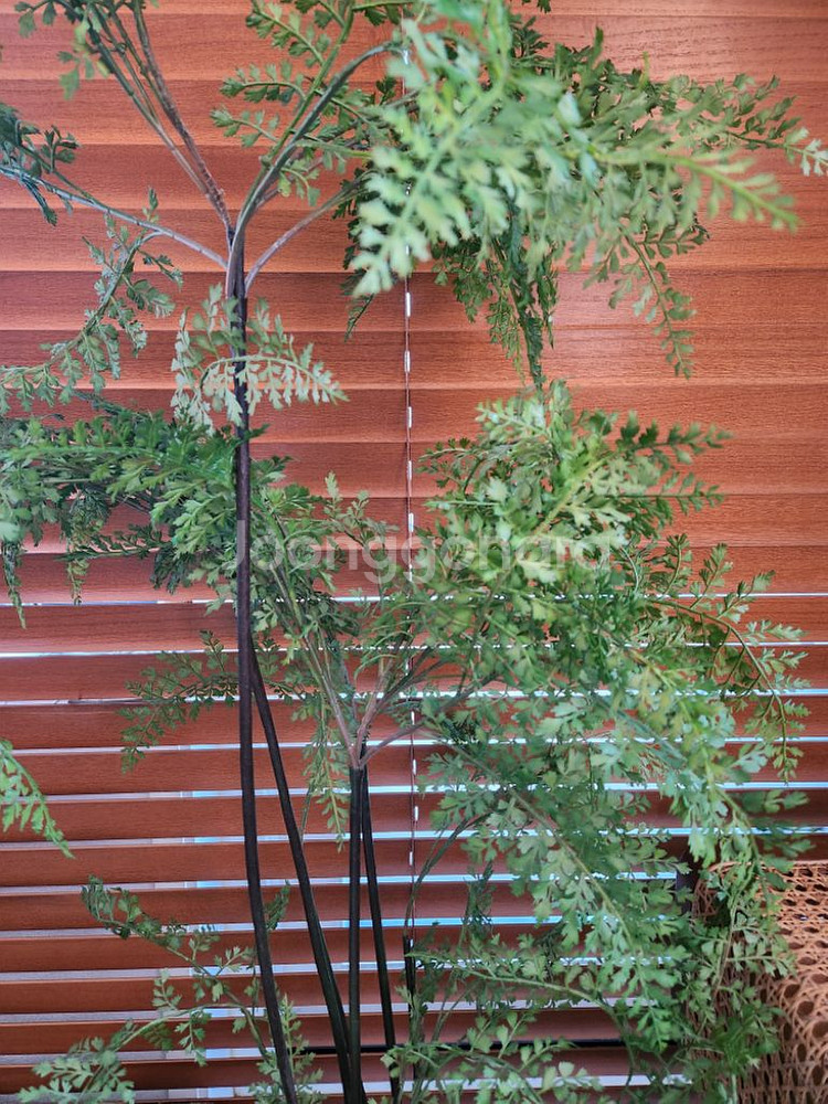 이쁜조화 조화식물--4