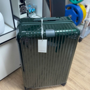 리모와 에센셜 체크인 라지 (그린/새상품)