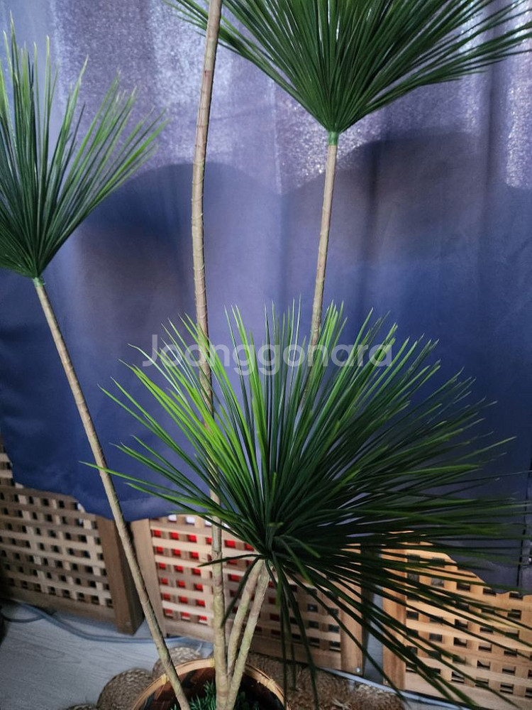 이쁜조화 조화식물--2