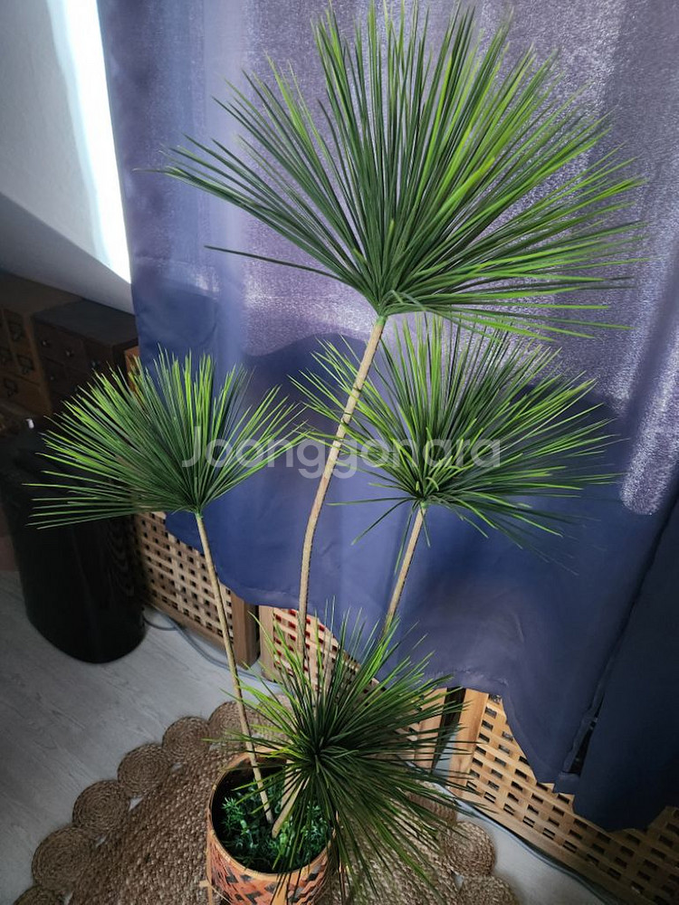 이쁜조화 조화식물--3