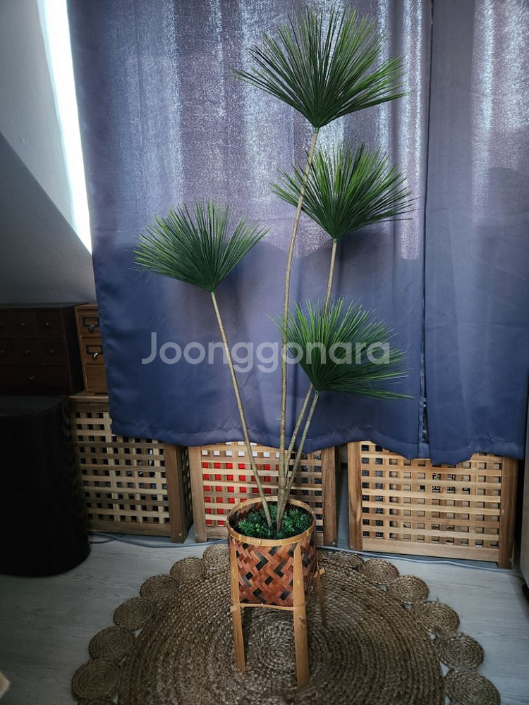 이쁜조화 조화식물--1