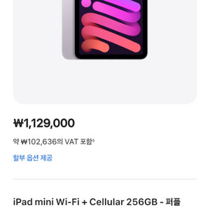 아이패드 미니7 Cellular 256GB - 퍼플