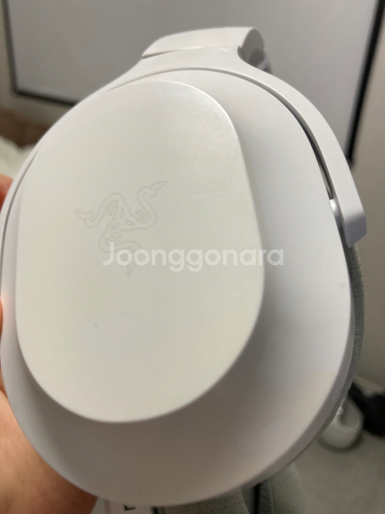 레이저 바라쿠다 머큐리 에디션--1