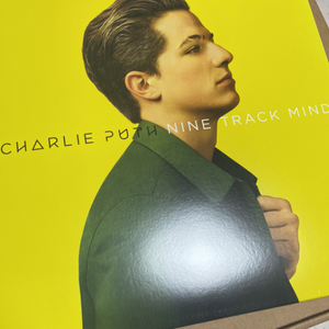 찰리푸스 1집 Nine Track Mind LP