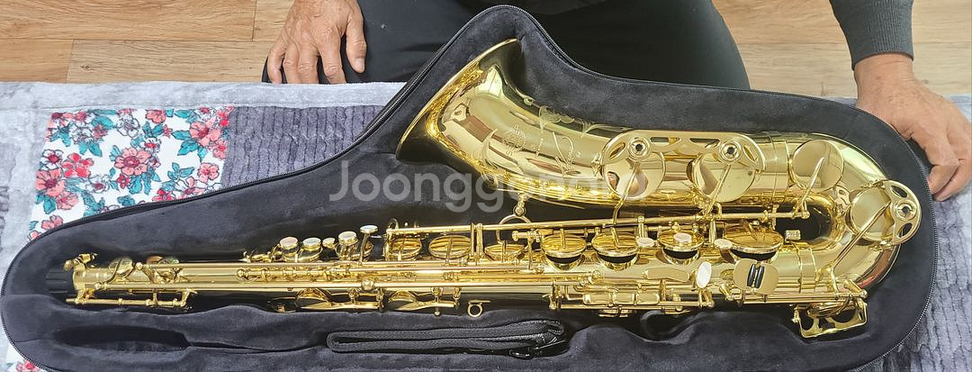 셀마 레퍼런스 54 테너--2