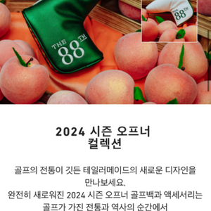 TM 테일러메이드 2024 마스터즈 퍼터커버