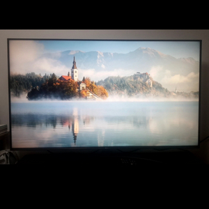 LG 55인치 4K HD TV