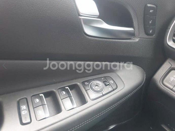 @18년식 싼타페(TM) 2.0T GDi 2WD 인스--6